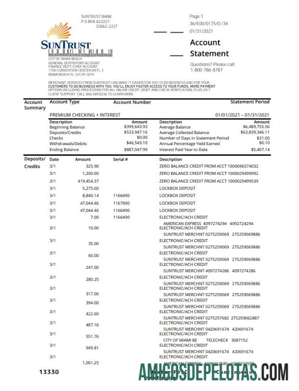 Modelo de comprovante de endereço em branco do USA SunTrust Bank em formato .xls e .pdf